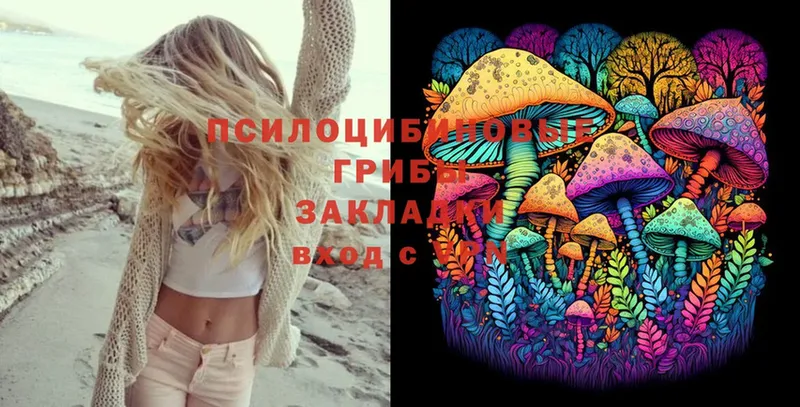 Псилоцибиновые грибы Magic Shrooms  купить   Белозерск 